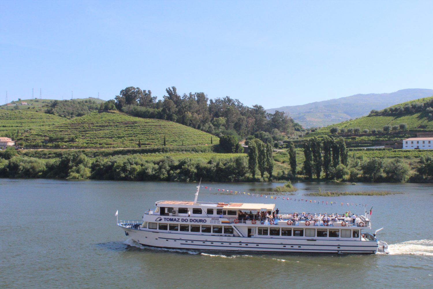 Boat in the Douro River at Regua