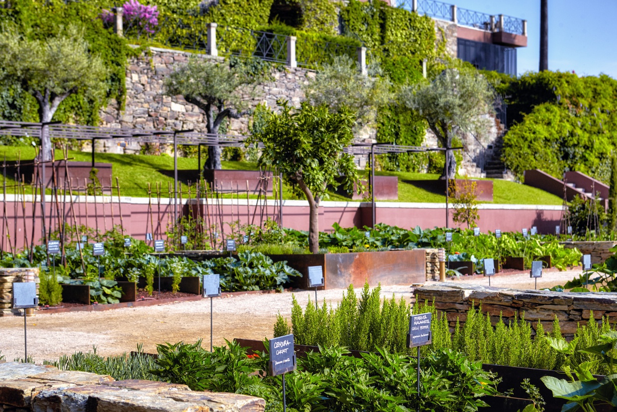 organic garden detail at the hotel six senses douro
